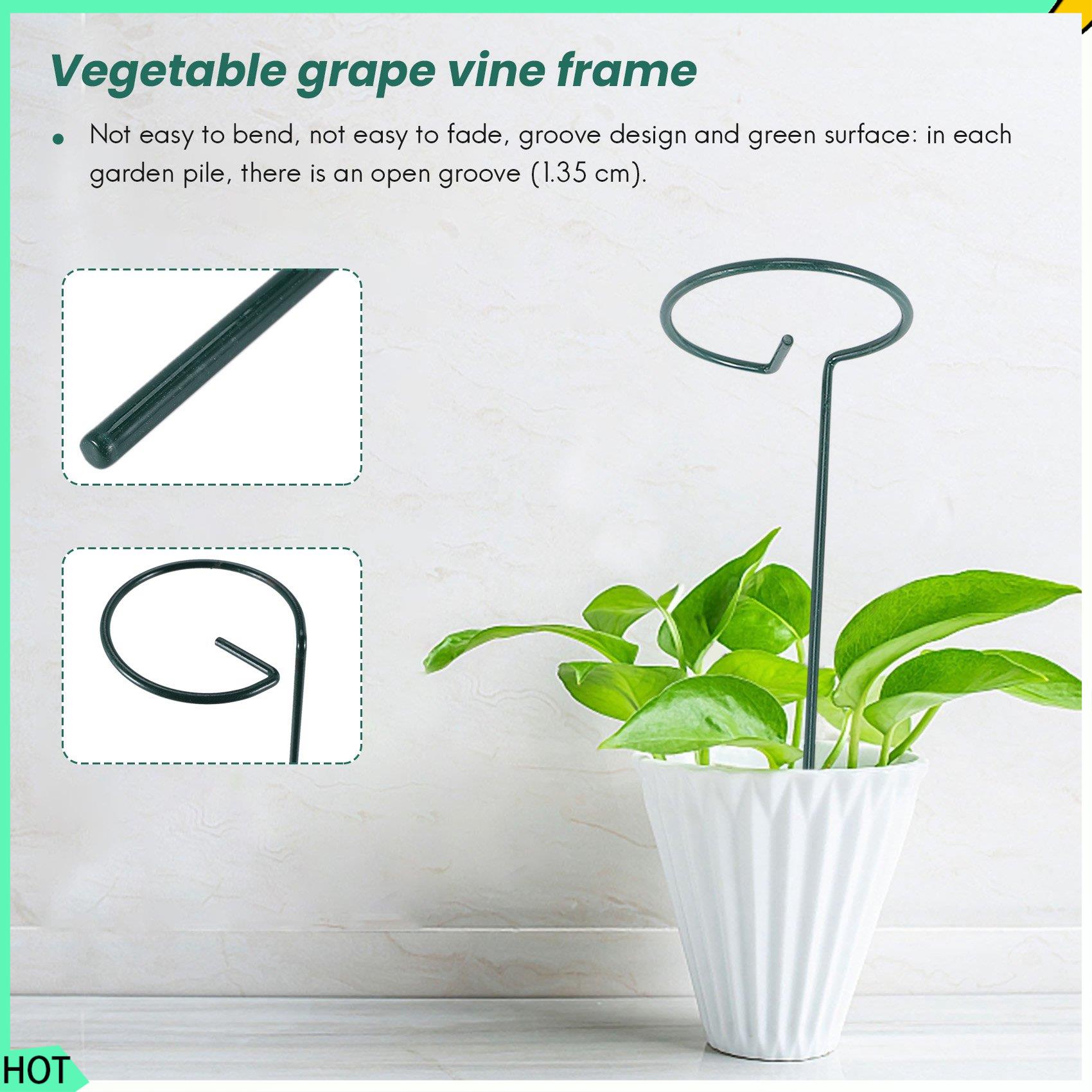 AWAH 8PCS Schöner Pflanzenstüt – Bonsai Garden Backyard Bewertung und Preis