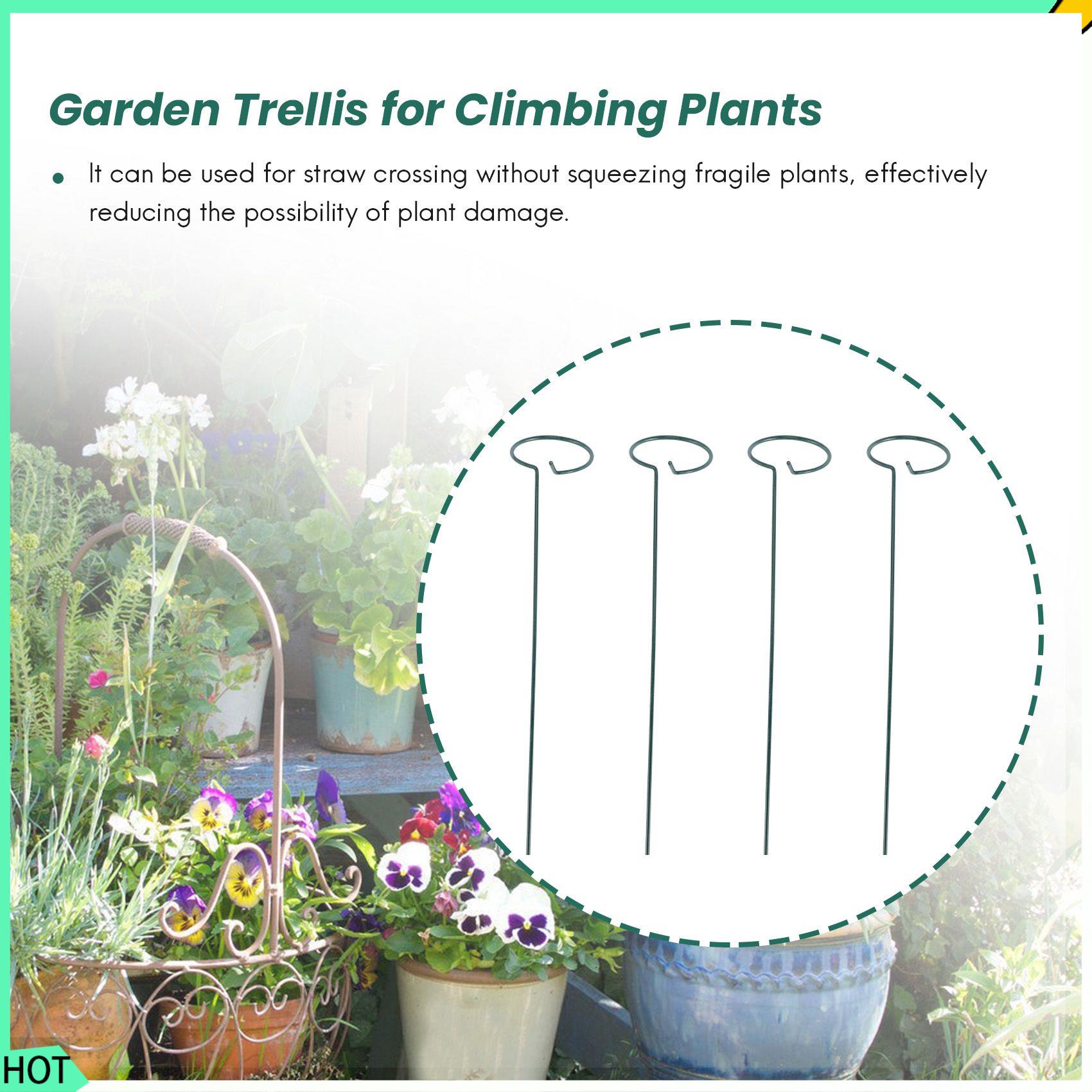 AWAH 8PCS Schöner Pflanzenstüt – Bonsai Garden Backyard Bewertung und Preis