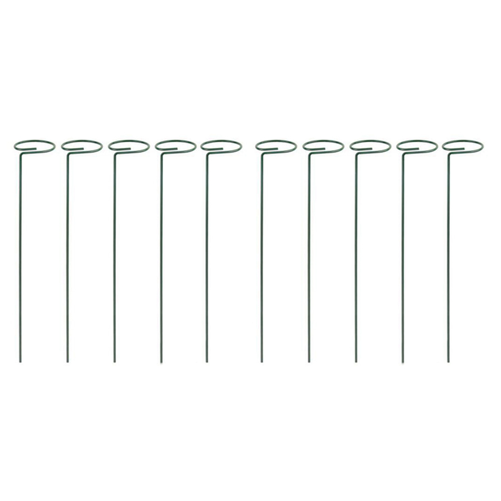 AB33-16PCS Schöne Pflanzen Unt – Bonsai Garden Backyard Bewertung und Preis