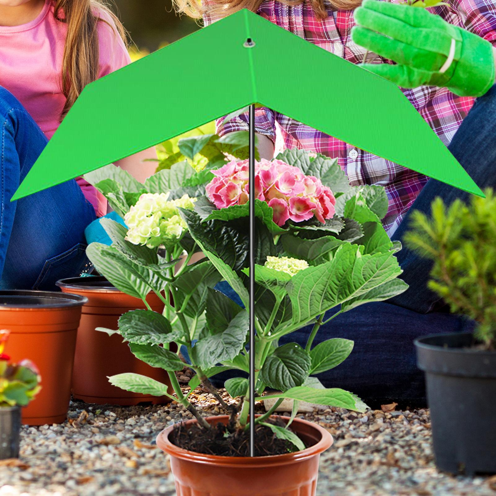 Pflanzenschirm, Anti-UV-Hitzes – Bonsai Garden Backyard Bewertung und Preis