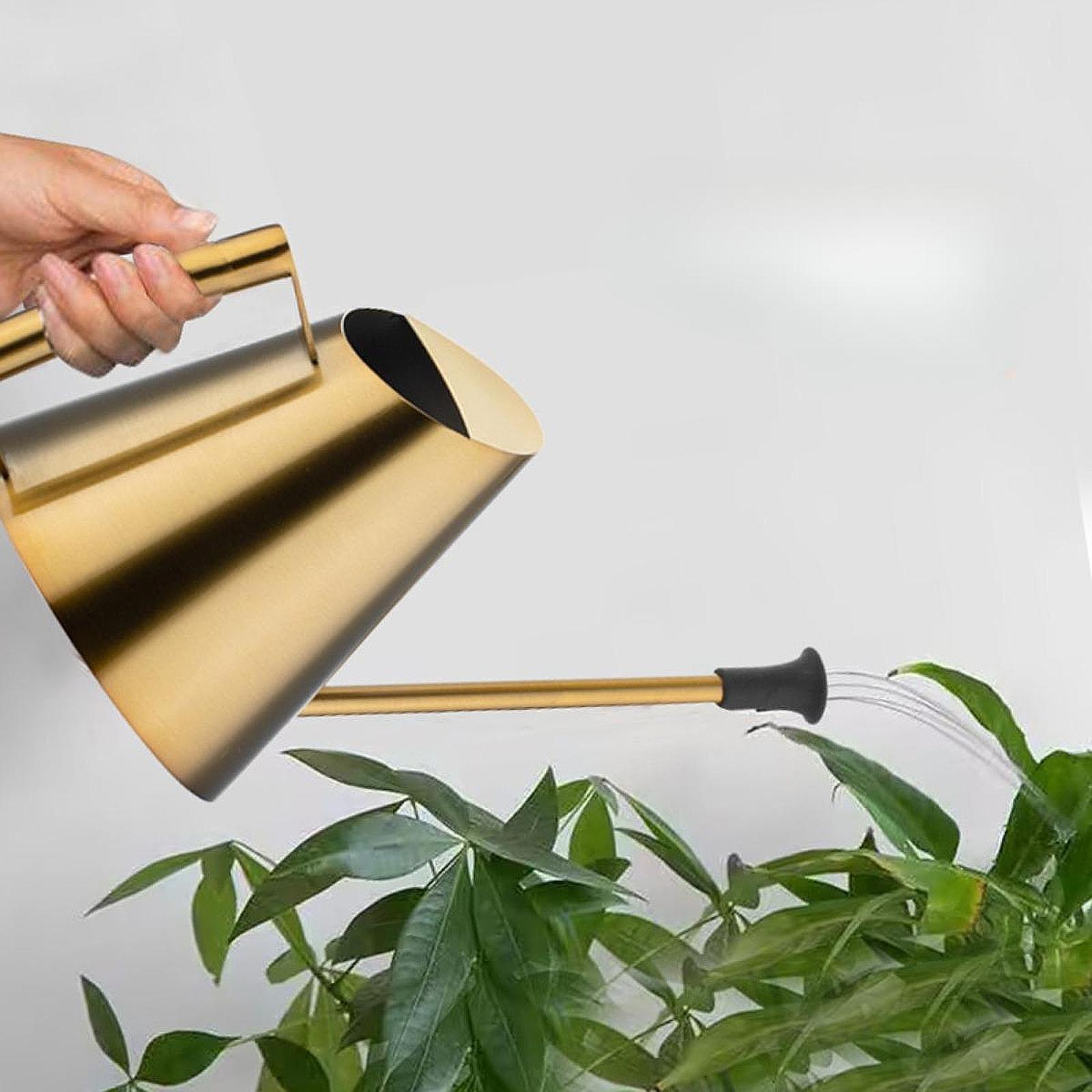 900ml Gießkanne mit Sprühkopf  – Bonsai Garden Backyard Bewertung und Preis