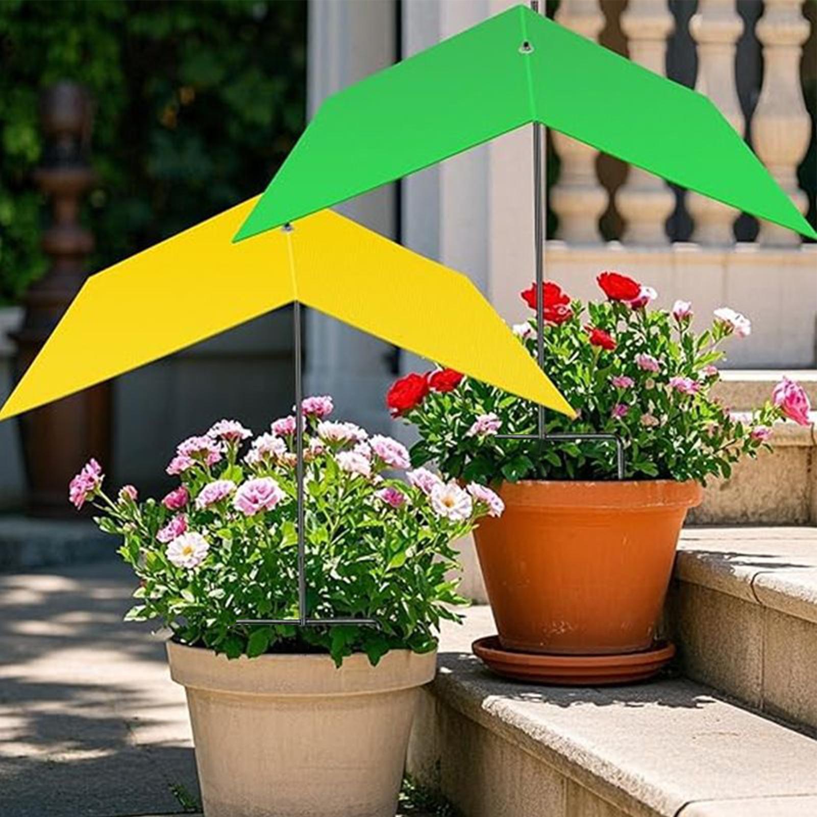 Schirme für Pflanzen im Freien – Bonsai Garden Backyard Bewertung und Preis