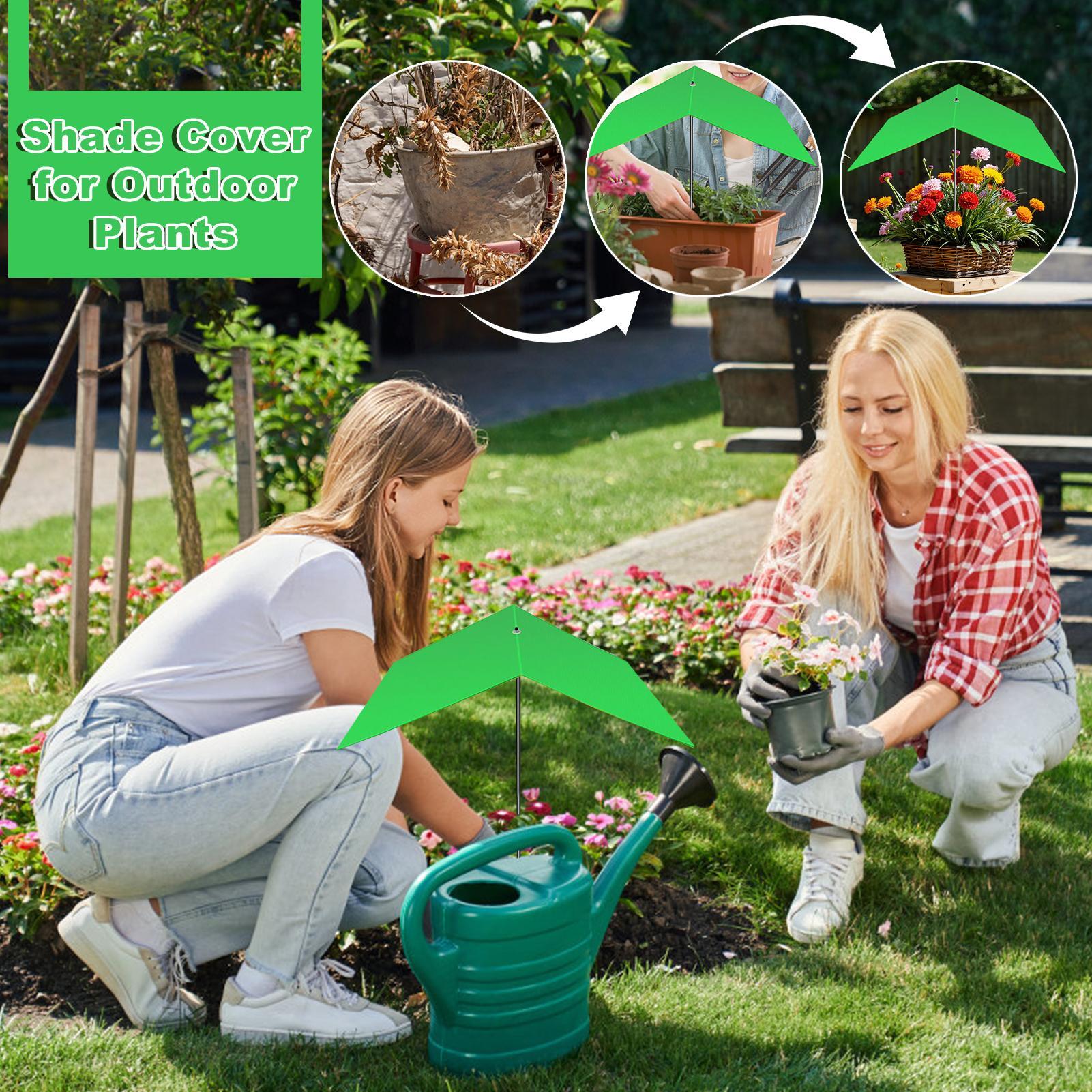 Schirme für Pflanzen im Freien – Bonsai Garden Backyard Bewertung und Preis